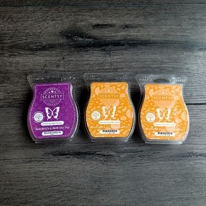 Bundle of Scentsy Wax Melts | Three (3) Sets of Fall/Winter Scents